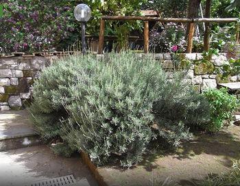 Casale Nunziatina Appartamento *